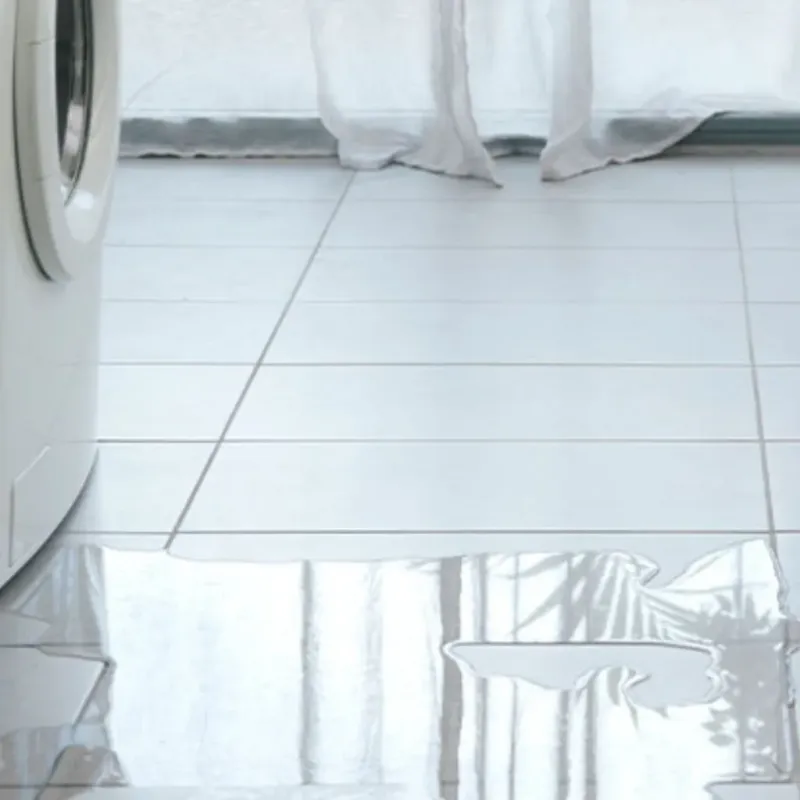 Appliance Leak Cleanup in Palm Aire, FL