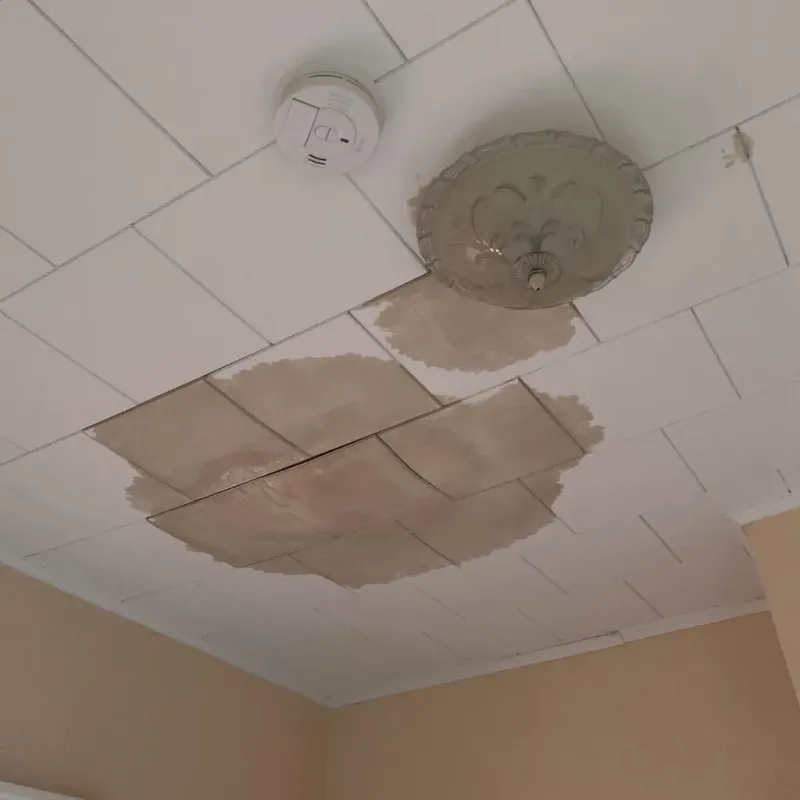 Ceiling Water Damage Repair in Palm Aire, FL